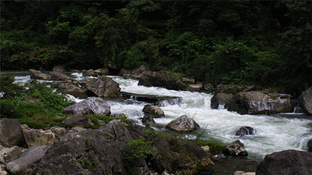 72f706e0cdaed7d21be78eaa8477f593.jpg